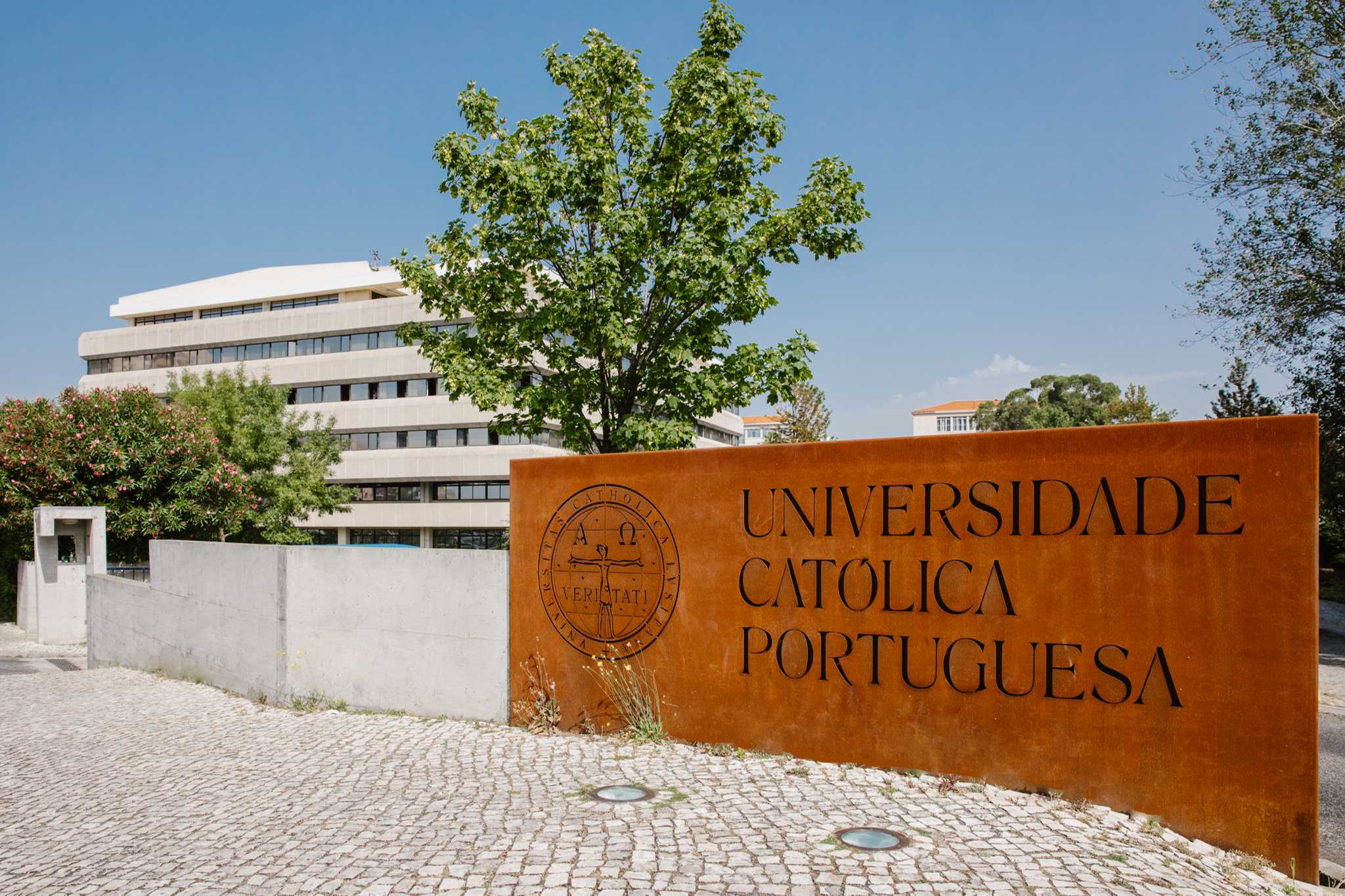 Como ingressar em universidades de Portugal Como ingressar em universidades de Portugal